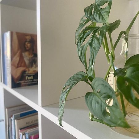 Bnb36 Forlì Kültér fotó